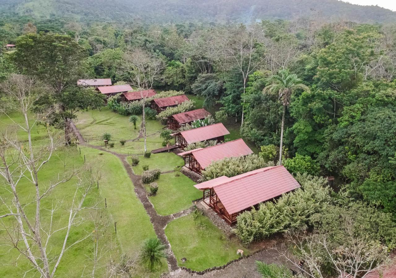 La Anita Rain Forest Colonia Dos Ríos Eksteriør billede