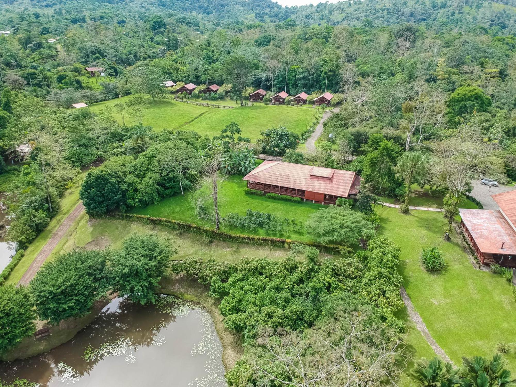 La Anita Rain Forest Colonia Dos Ríos Eksteriør billede