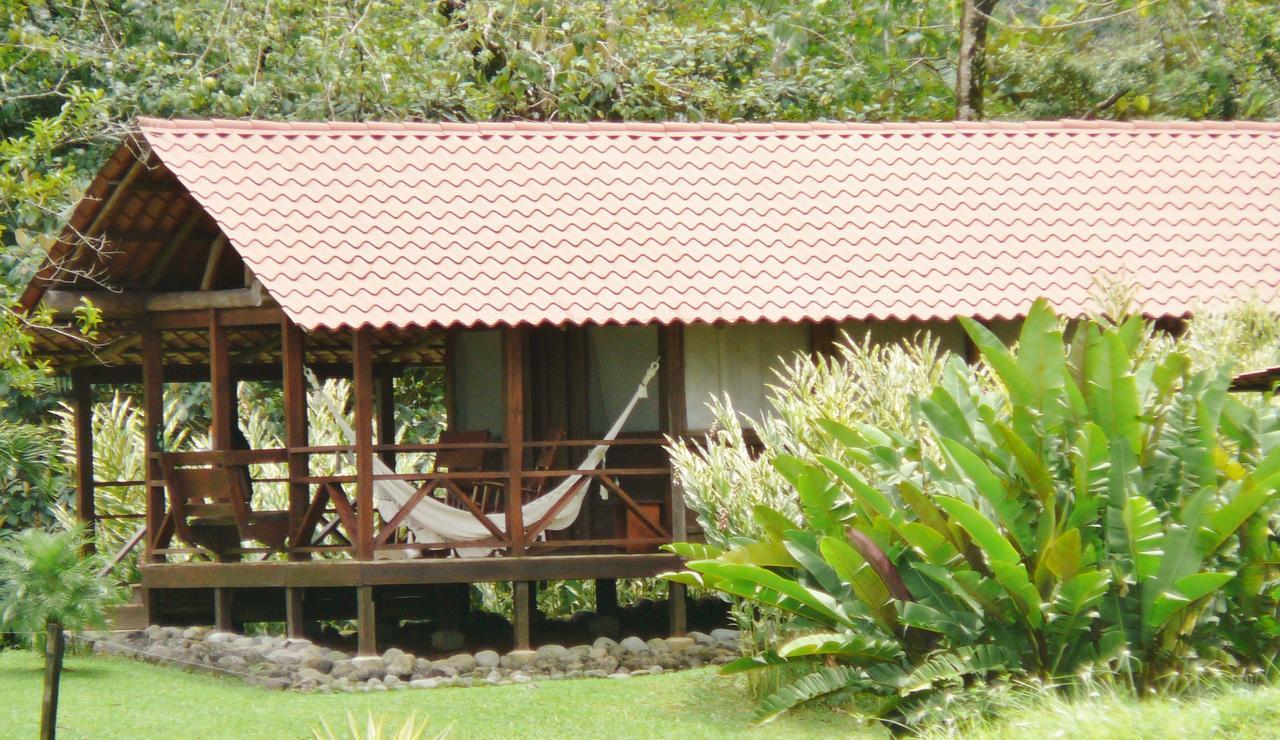 La Anita Rain Forest Colonia Dos Ríos Eksteriør billede