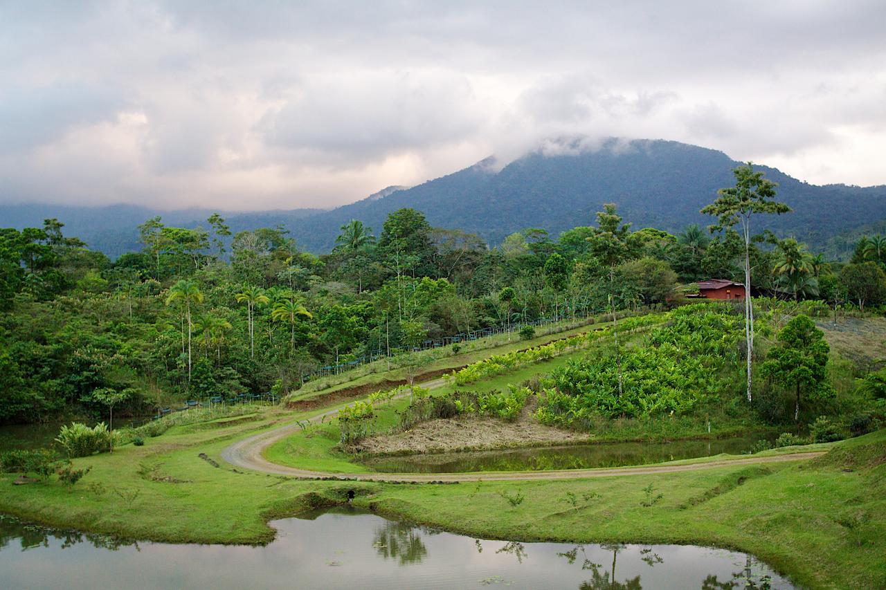 La Anita Rain Forest Colonia Dos Ríos Eksteriør billede