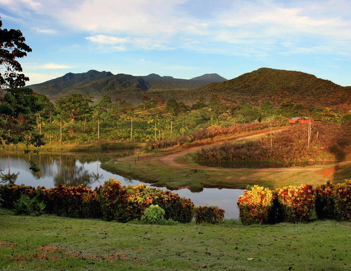 La Anita Rain Forest Colonia Dos Ríos Eksteriør billede