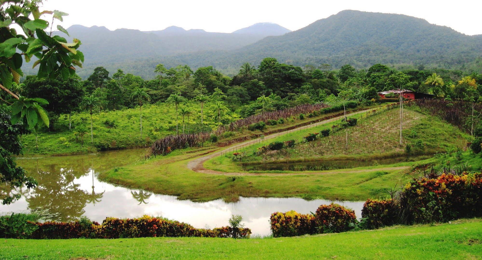 La Anita Rain Forest Colonia Dos Ríos Eksteriør billede