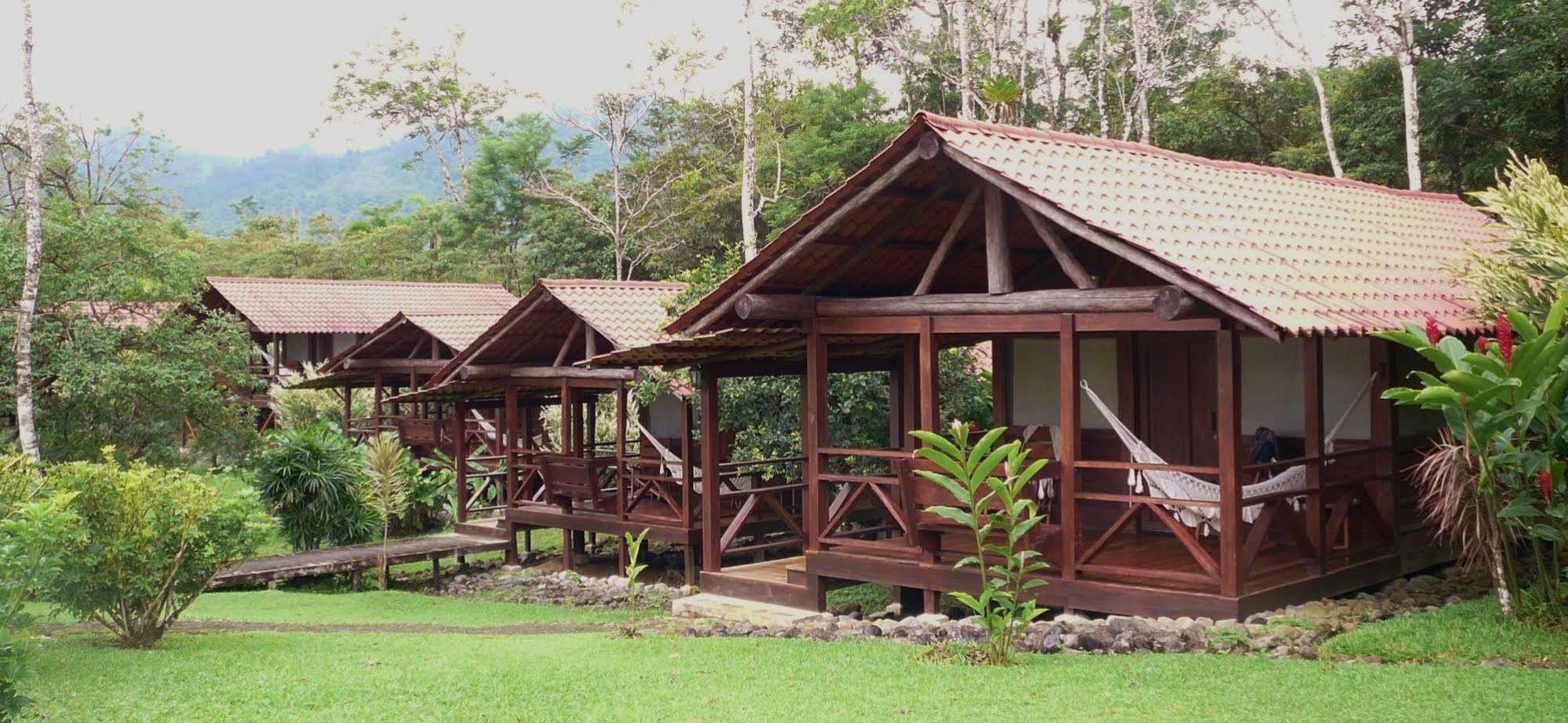 La Anita Rain Forest Colonia Dos Ríos Eksteriør billede